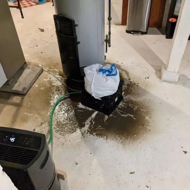 Sewage Backup Cleanup Service in Hayden, AL